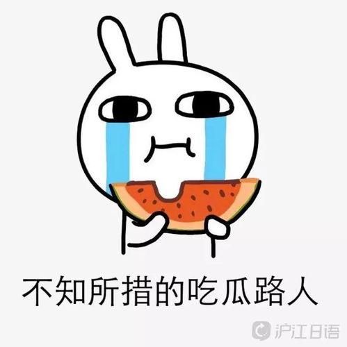 娱乐圈摆烂吃瓜动漫,动漫圈狂欢盛宴